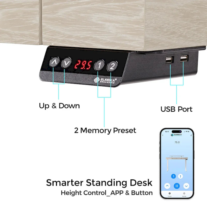 Eureka Ergonomic 55 Slate Stone Standing Desk Executive Writing Desk with 2 Drawers & Monitor Stand