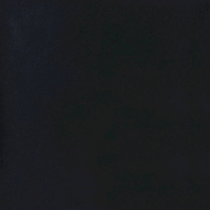 Farwest Chrome Retro Dining Chairs (Set of 2)