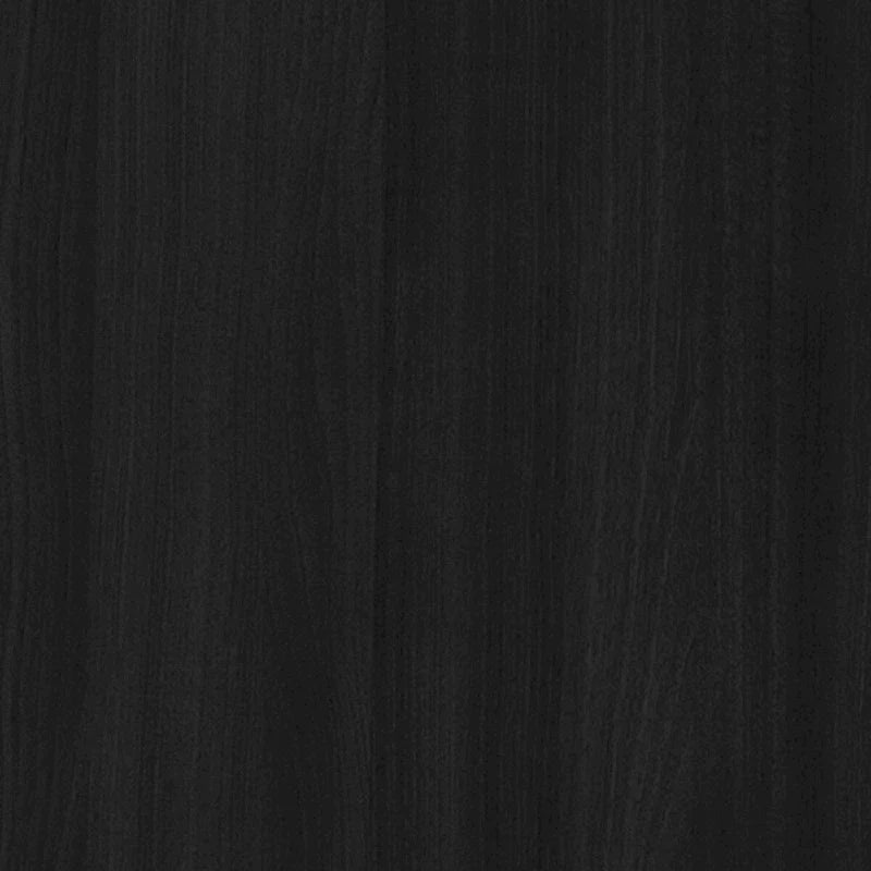 CraftPorch Mid-Century Modern Black Chest