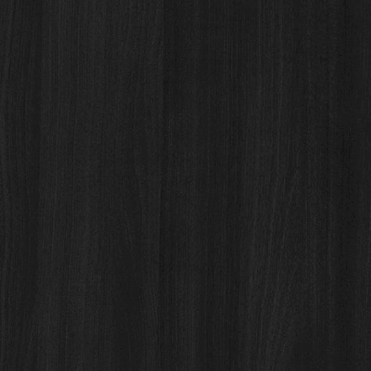 CraftPorch Mid-Century Modern Black Chest