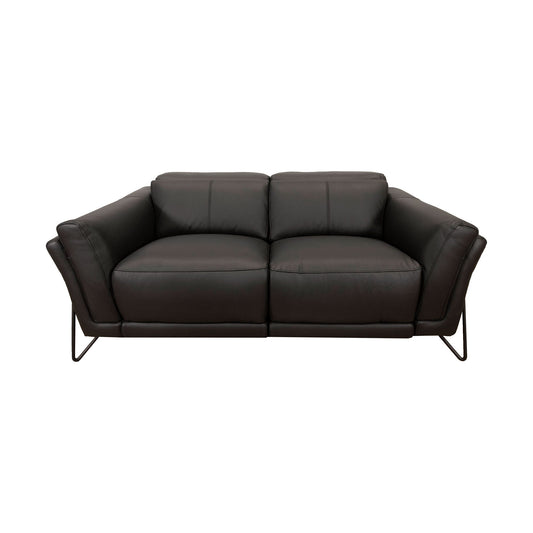 Hawk Reclining Loveseat