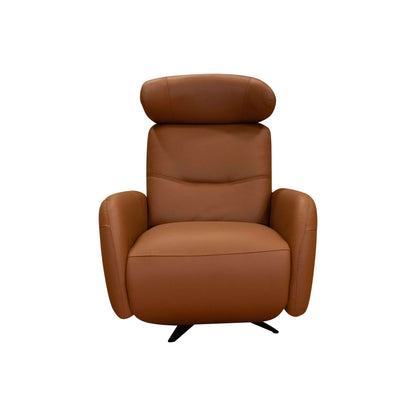 Heron Power Reclining Chair